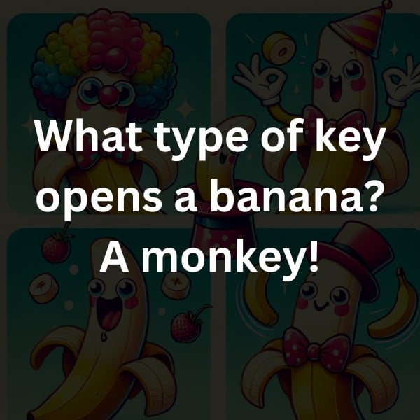 What type of key opens a banana? A monkey!