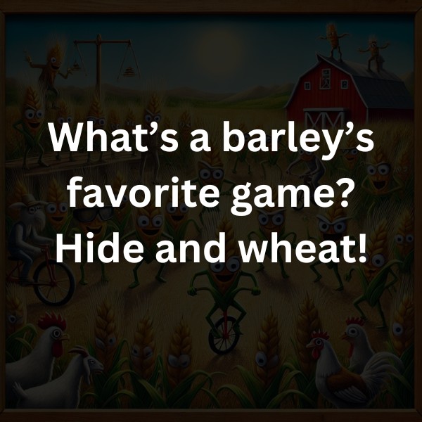 What’s a barley’s favorite game? Hide and wheat!