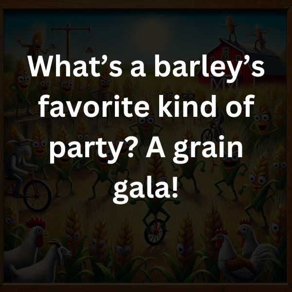 What’s a barley’s favorite kind of party? A grain gala!