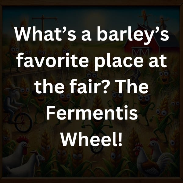 What’s a barley’s favorite place at the fair? The Fermentis Wheel!