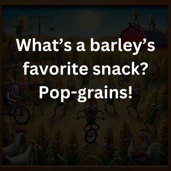 What’s a barley’s favorite snack? Pop-grains!