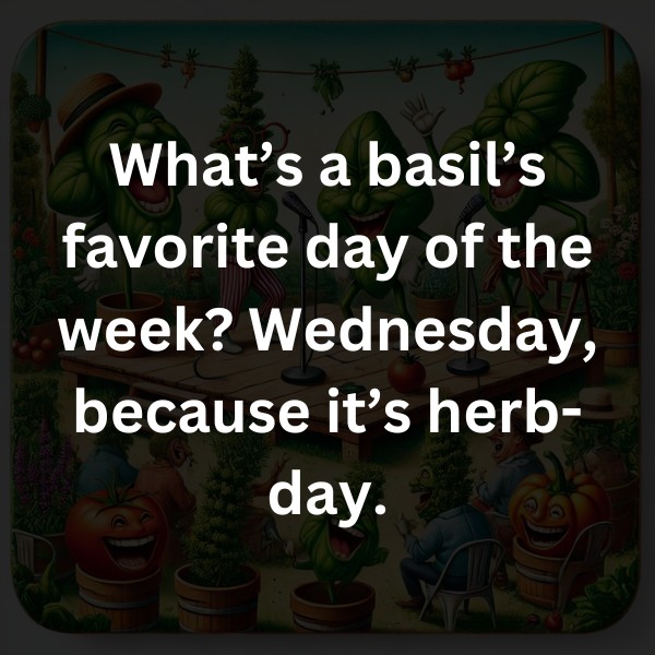 What’s a basil’s favorite day of the week? Wednesday, because it’s herb-day.