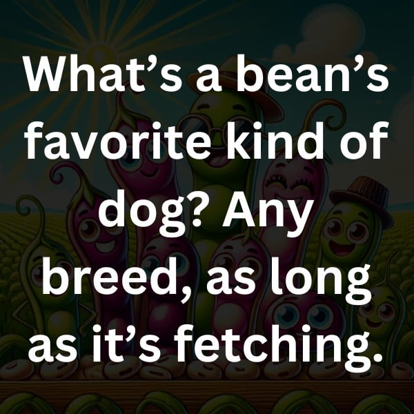 What’s a bean’s favorite kind of dog Any breed, as long as it’s fetching.