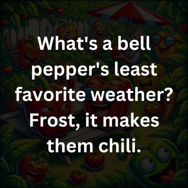 What's a bell pepper's least favorite weather? Frost, it makes them chili.