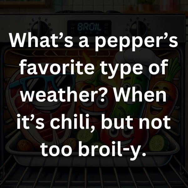 What’s a pepper’s favorite type of weather_ When it’s chili, but not too broil-y