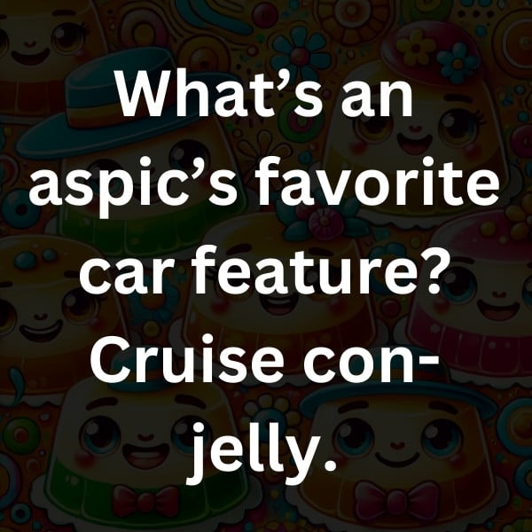 What’s an aspic’s favorite car feature_ Cruise con-jelly