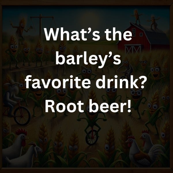 What’s the barley’s favorite drink? Root beer!
