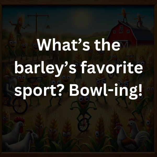 What’s the barley’s favorite sport? Bowl-ing!
