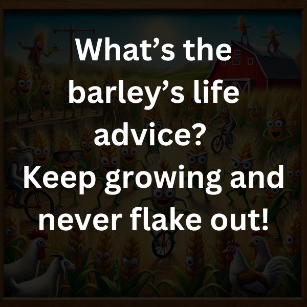 What’s the barley’s life advice? Keep growing and never flake out!