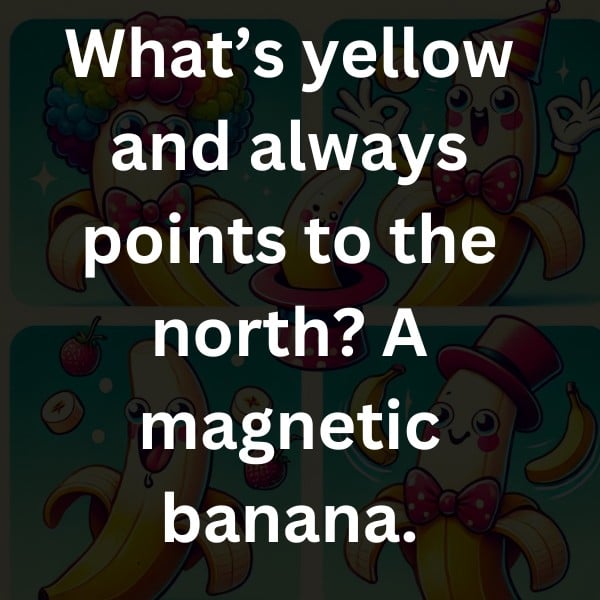 What’s yellow and always points to the north? A magnetic banana.