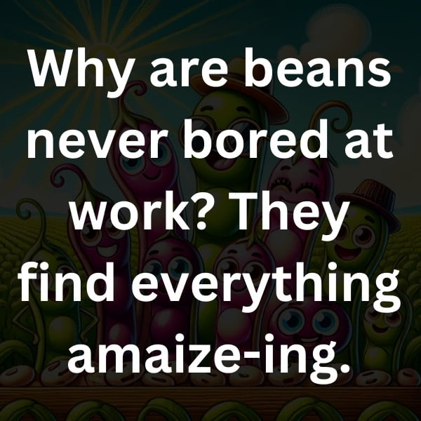 Why are beans never bored at work_ They find everything amaize-ing