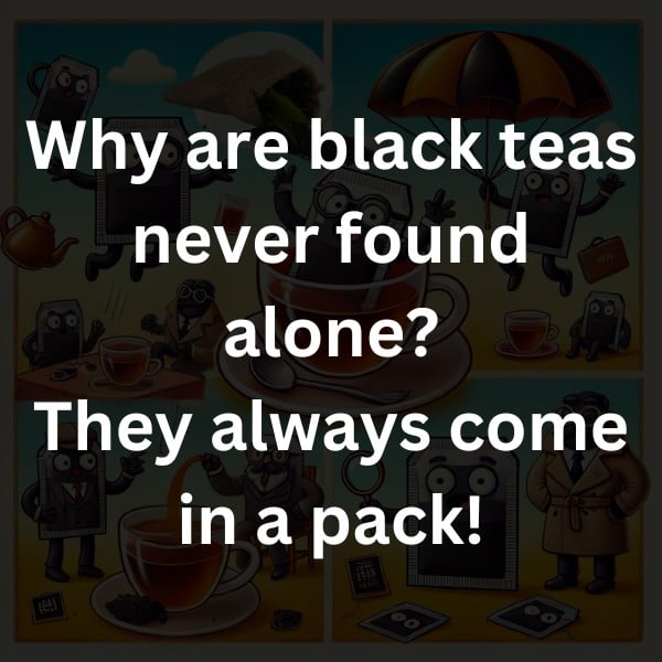 Why are black teas never found alone? They always come in a pack!