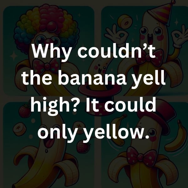 Why couldn’t the banana yell high? It could only yellow.