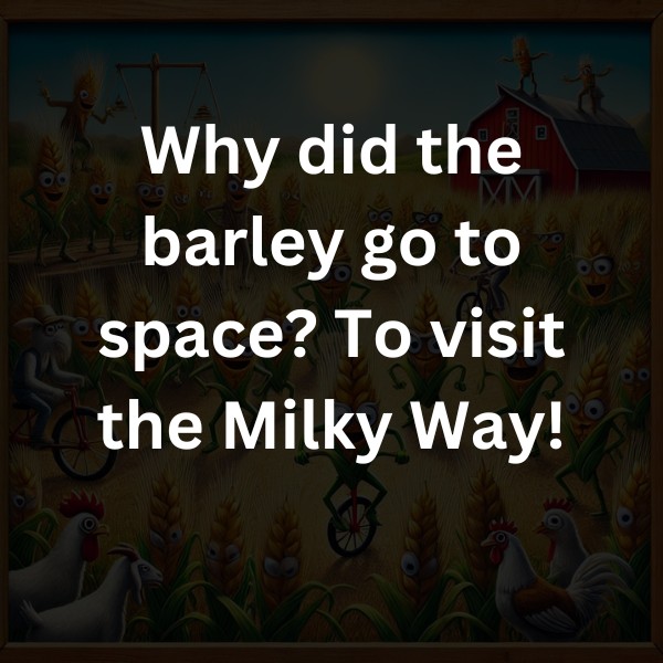 Why did the barley go to space? To visit the Milky Way!