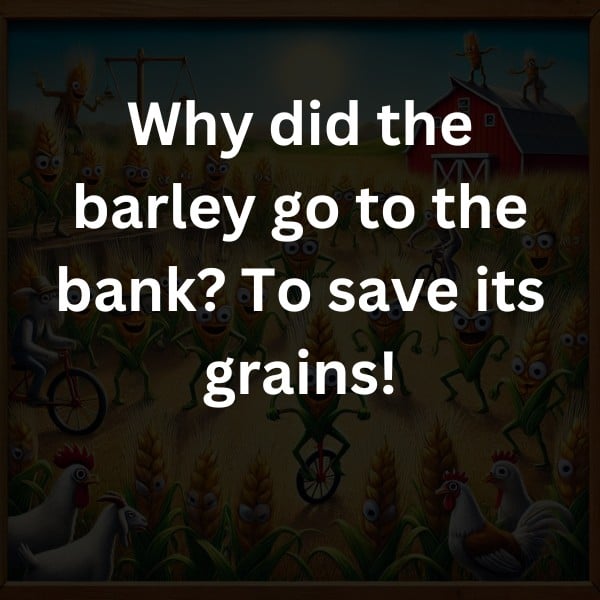 Why did the barley go to the bank? To save its grains!