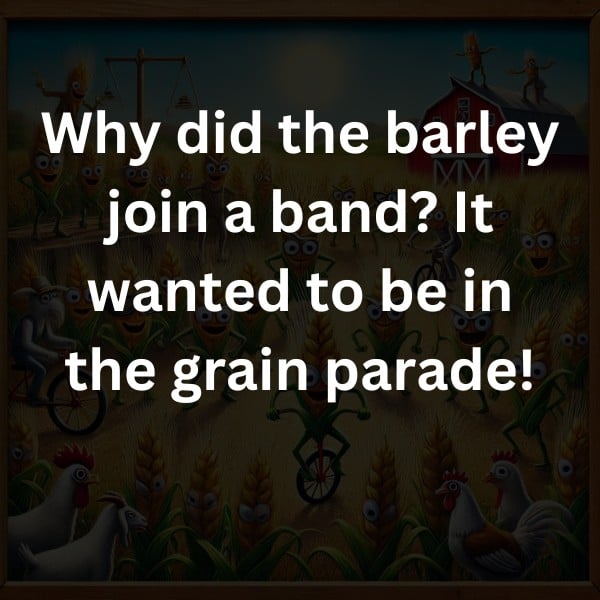Why did the barley join a band? It wanted to be in the grain parade!