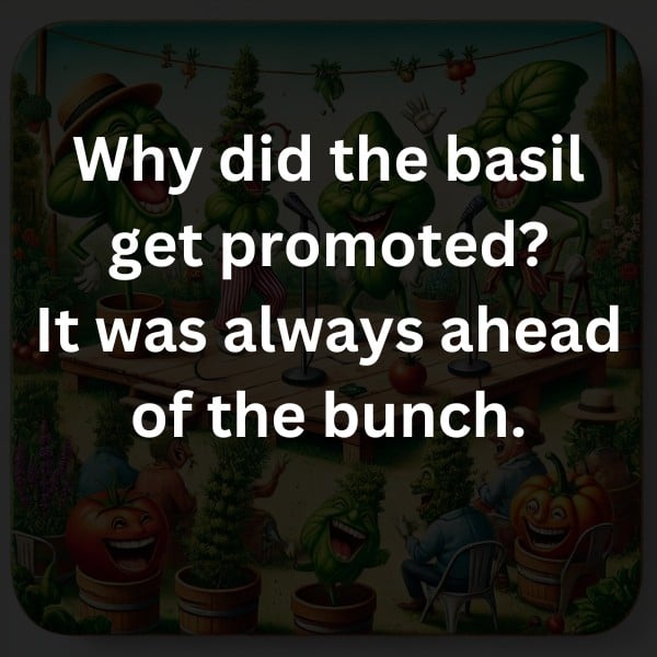 Why did the basil get promoted? It was always ahead of the bunch.