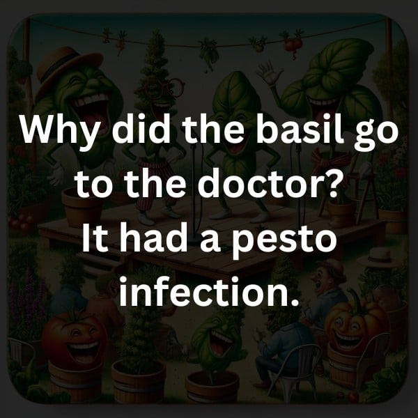 Why did the basil go to the doctor? It had a pesto infection.