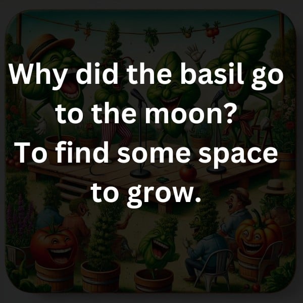 Why did the basil go to the moon? To find some space to grow.