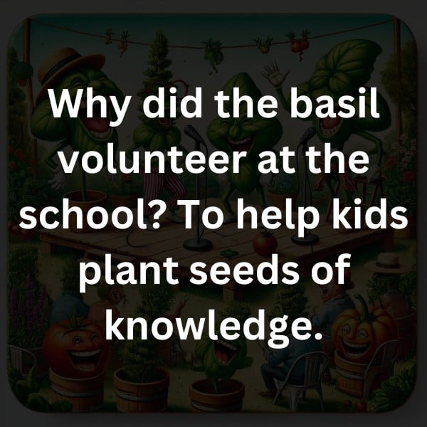 Why did the basil volunteer at the school? To help kids plant seeds of knowledge.