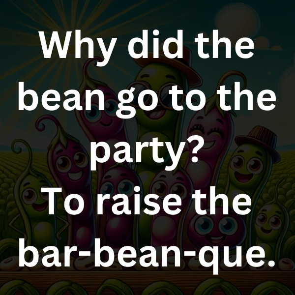 Why did the bean go to the party_ To raise the bar-bean-que