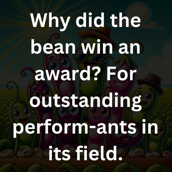 Why did the bean win an award_ For outstanding perform-ants in its field