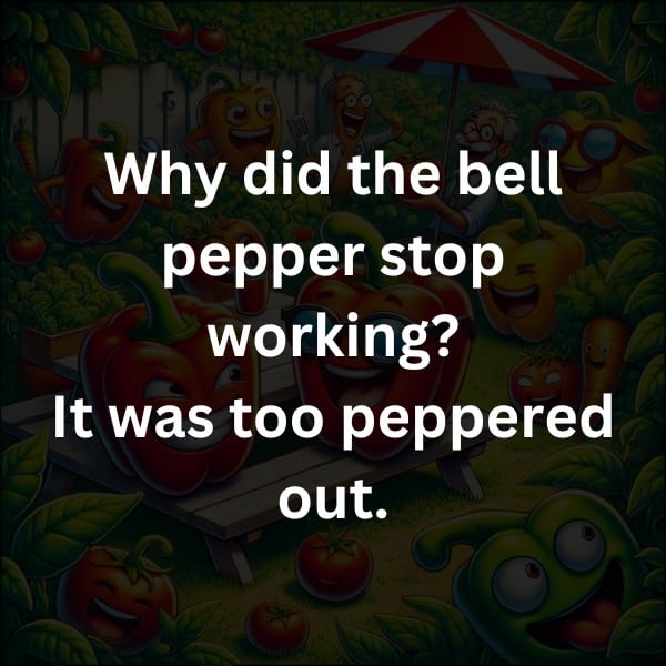 Why did the bell pepper stop working? It was too peppered out.