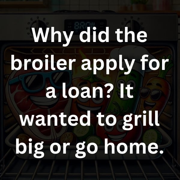 Why did the broiler apply for a loan_ It wanted to grill big or go home