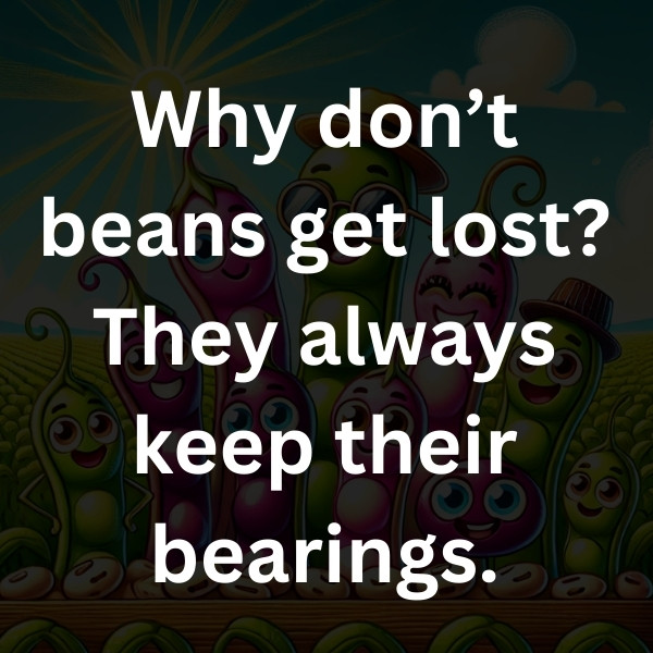 Why don’t beans get lost_ They always keep their bearings
