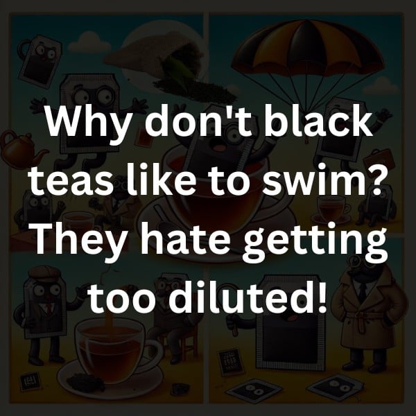 Why don't black teas like to swim? They hate getting too diluted!