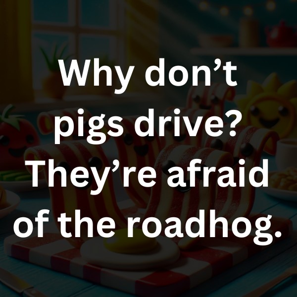 Why don’t pigs drive They’re afraid of the roadhog.
