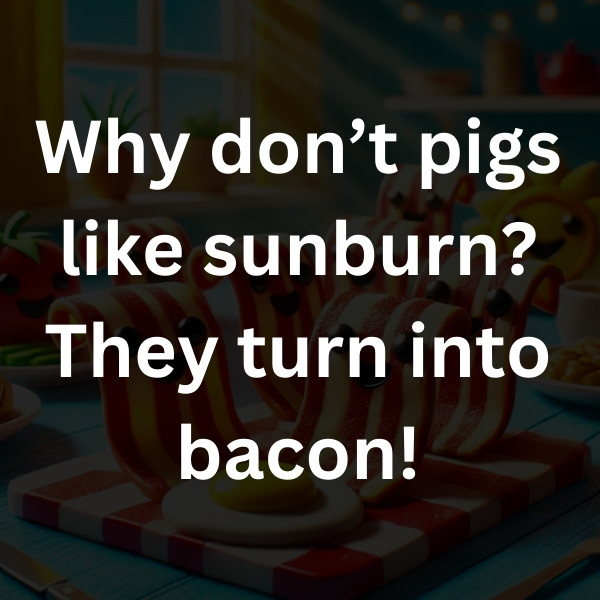 Why don’t pigs like sunburn_ They turn into bacon!