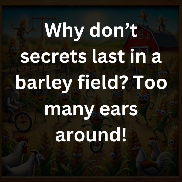 Why don’t secrets last in a barley field? Too many ears around!