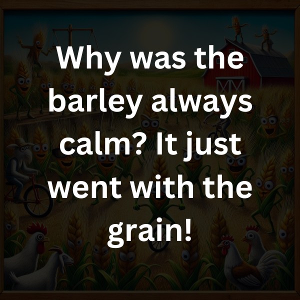 Why was the barley always calm? It just went with the grain!