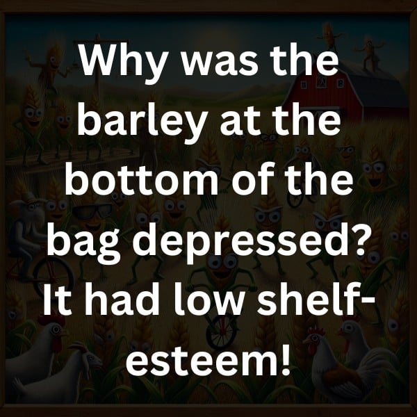 Why was the barley at the bottom of the bag depressed? It had low shelf-esteem!