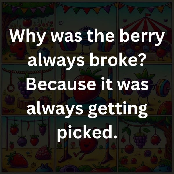 Why was the berry always broke? Because it was always getting picked.