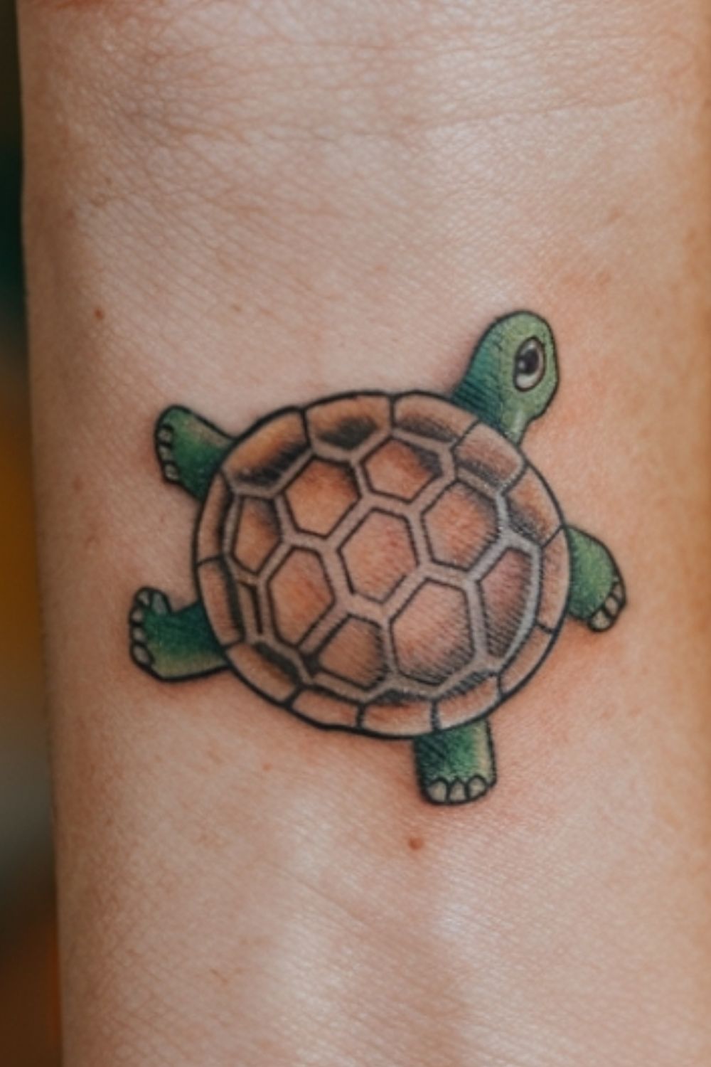 turtle tattoo small (7)