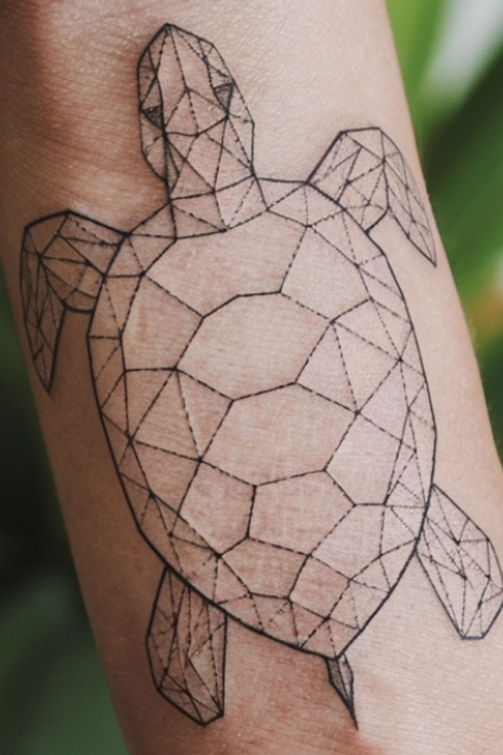 turtle tattoo small