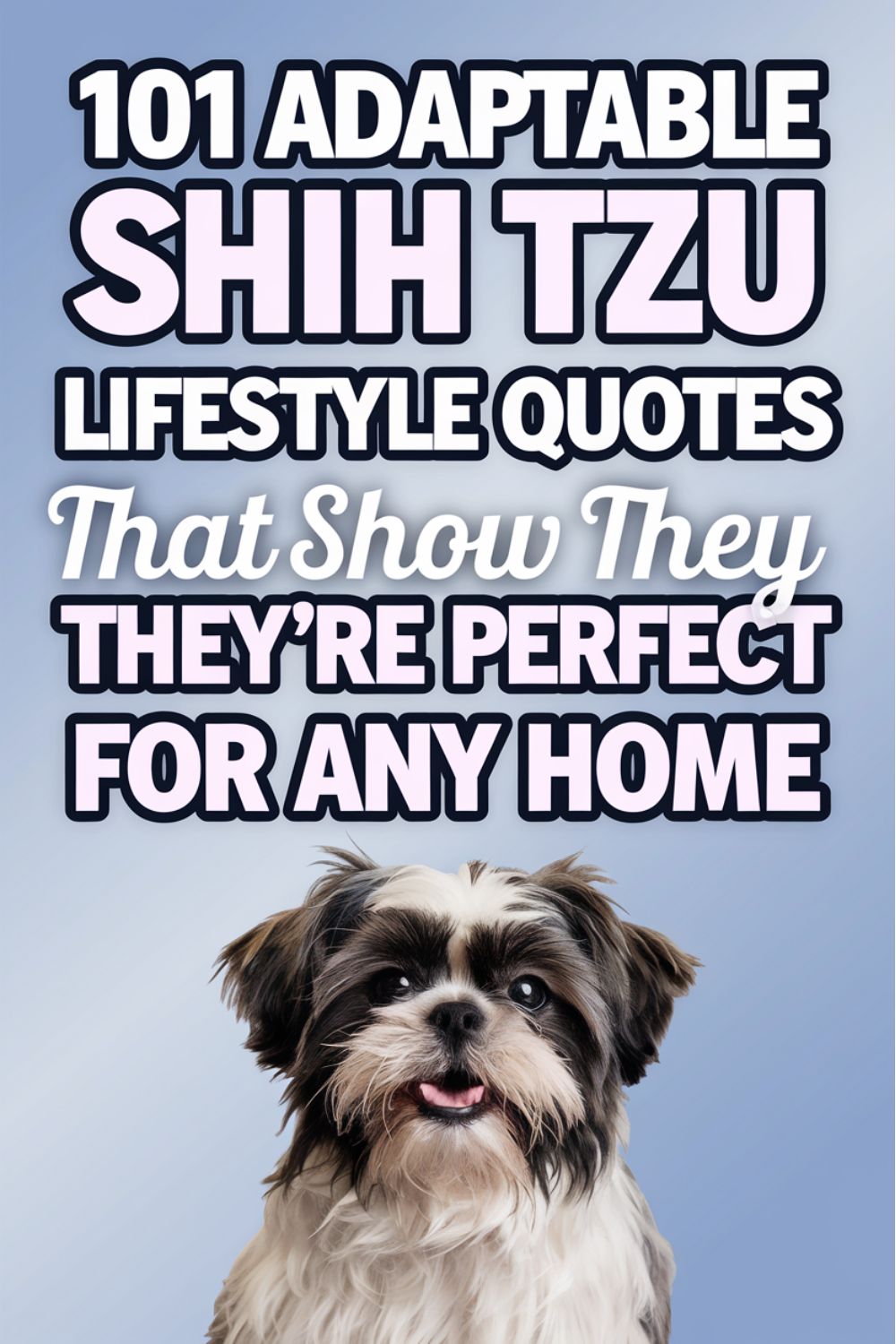 101 Adaptable Shih Tzu Lifestyle Quotes That Show They’re Perfect for Any Home