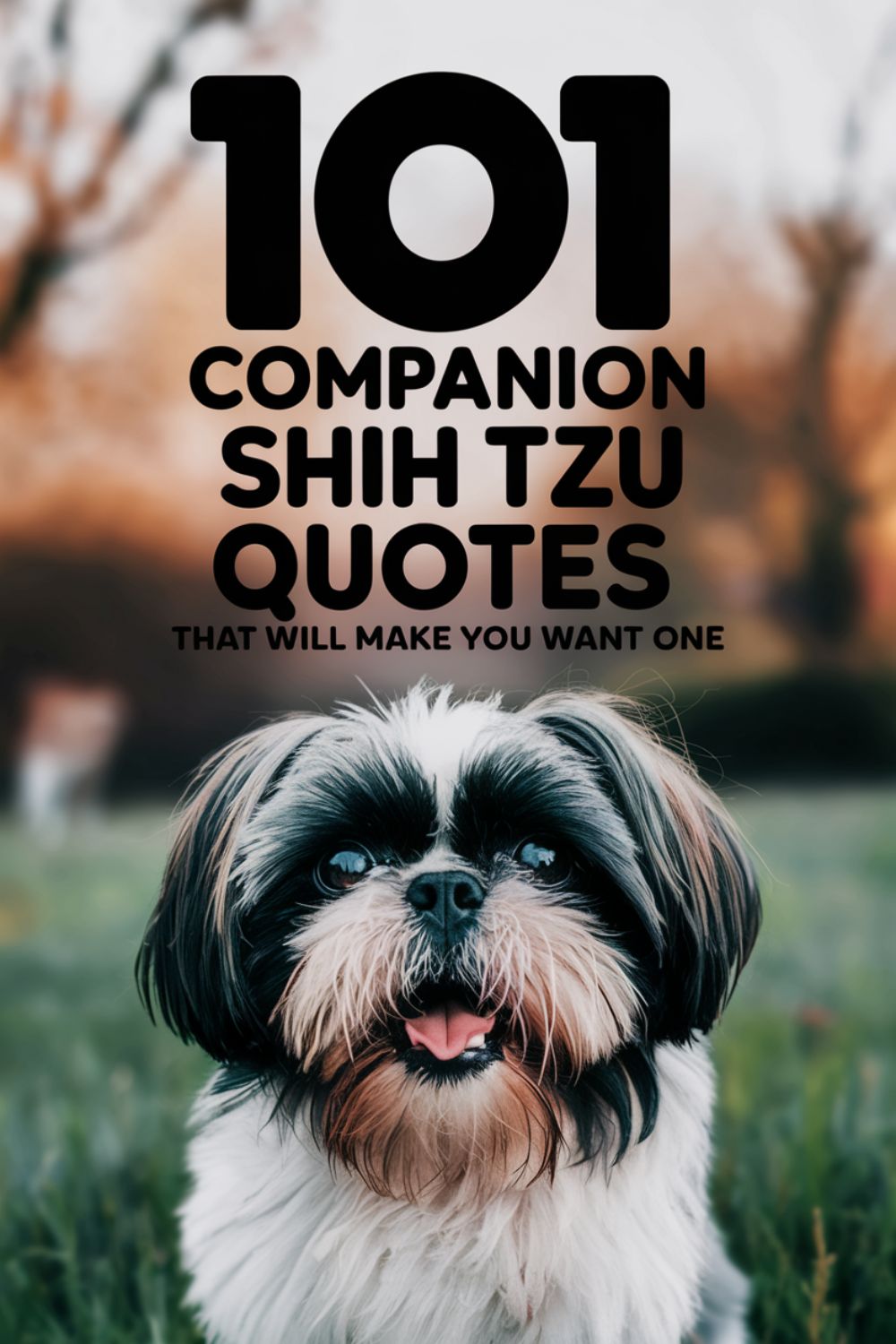 101 Companion Shih Tzu Quotes That Will Make You Want One