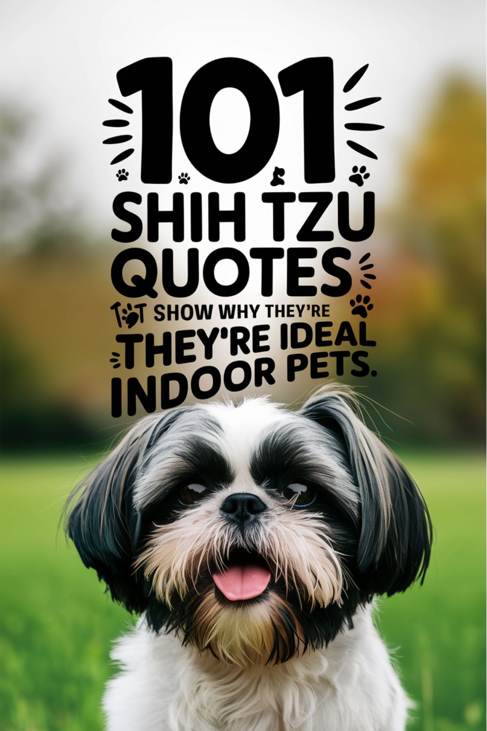 101 Quiet Shih Tzu Quotes That Show Why They’re Ideal Indoor Pets