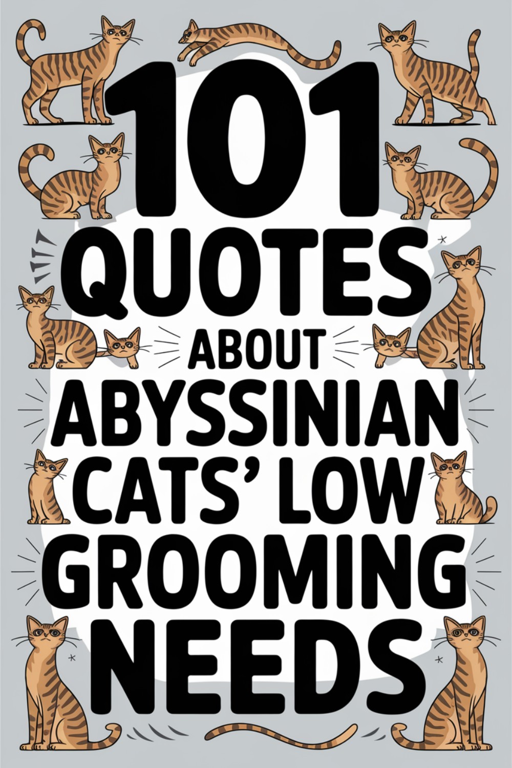 101 Quotes About Abyssinian Cats' Low Grooming Needs