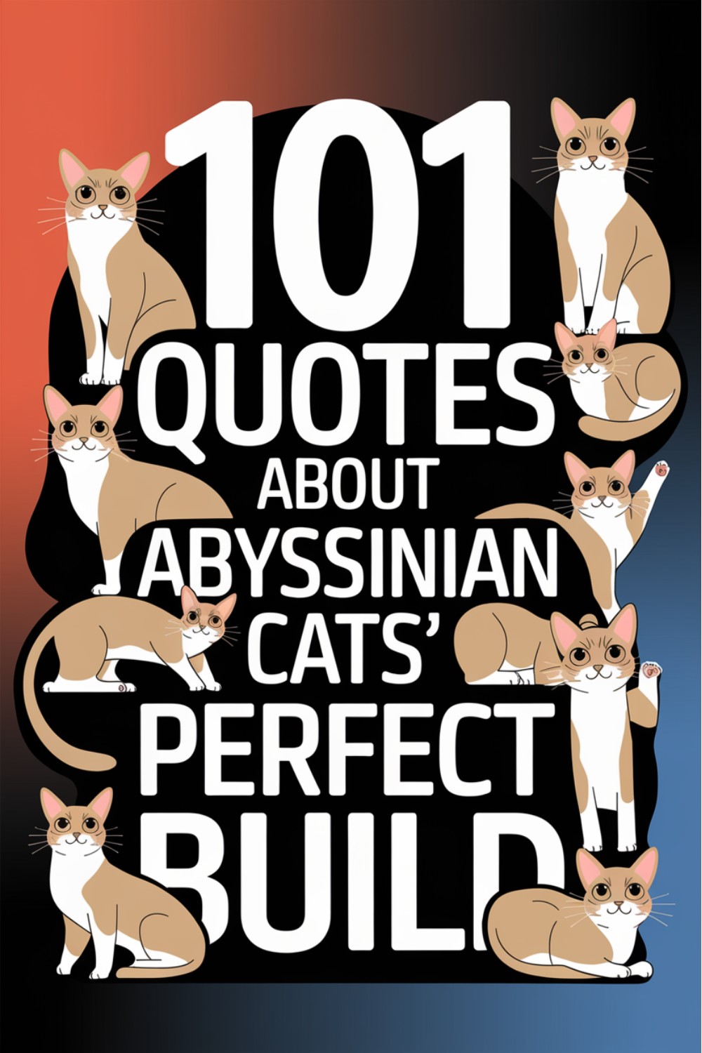 101 Quotes About Abyssinian Cats' Perfect Build