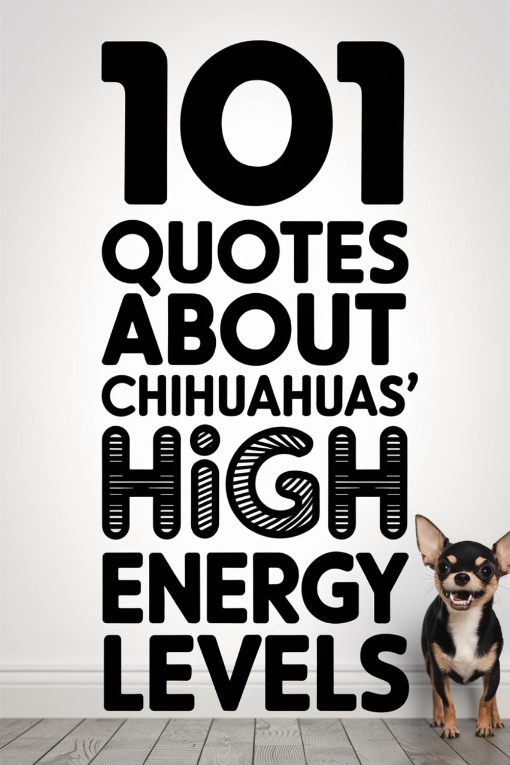 101 Quotes About Chihuahuas’ High Energy Levels