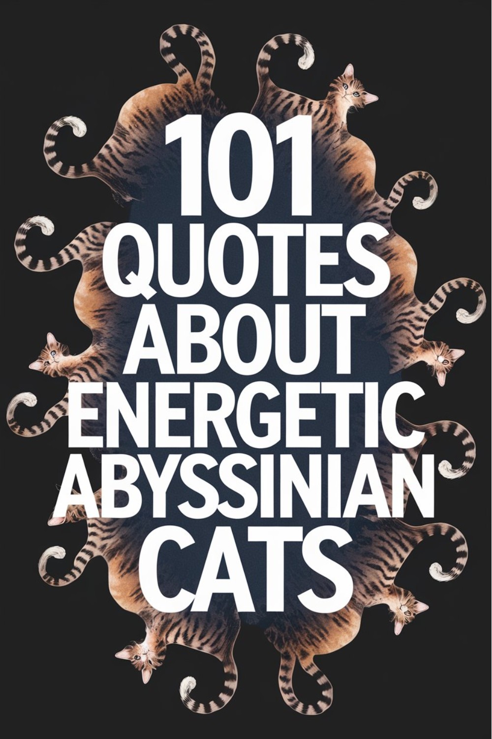 101 Quotes About Energetic Abyssinian Cats