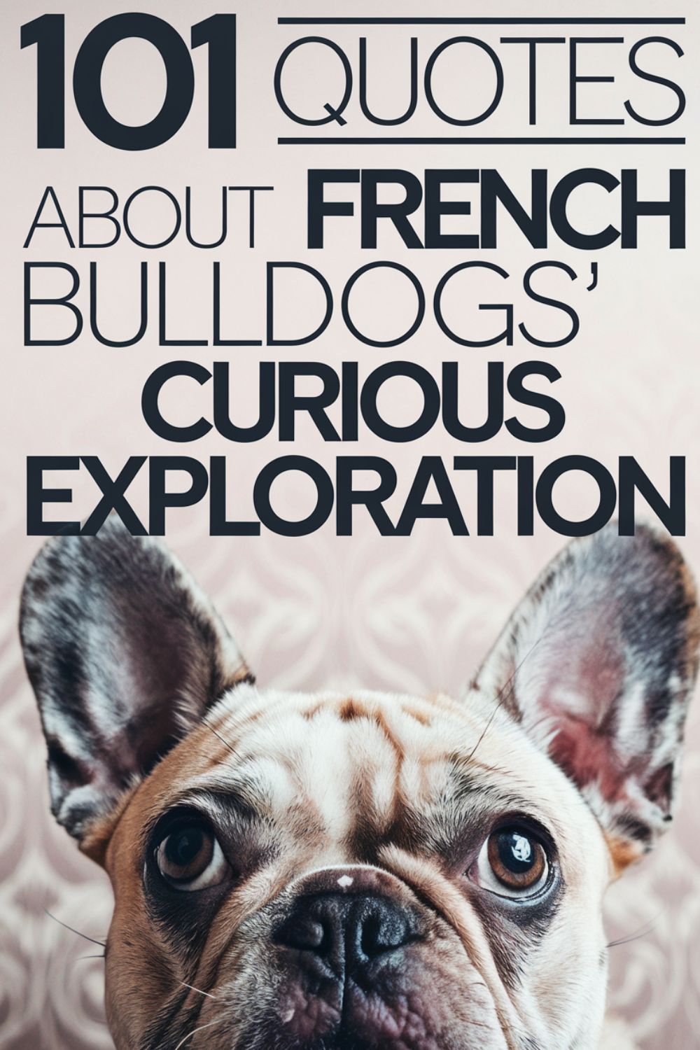 101 Quotes About French Bulldogs’ Curious Exploration