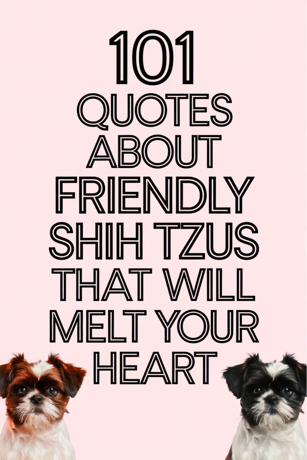 101 Quotes About Friendly Shih Tzus That Will Melt Your Heart