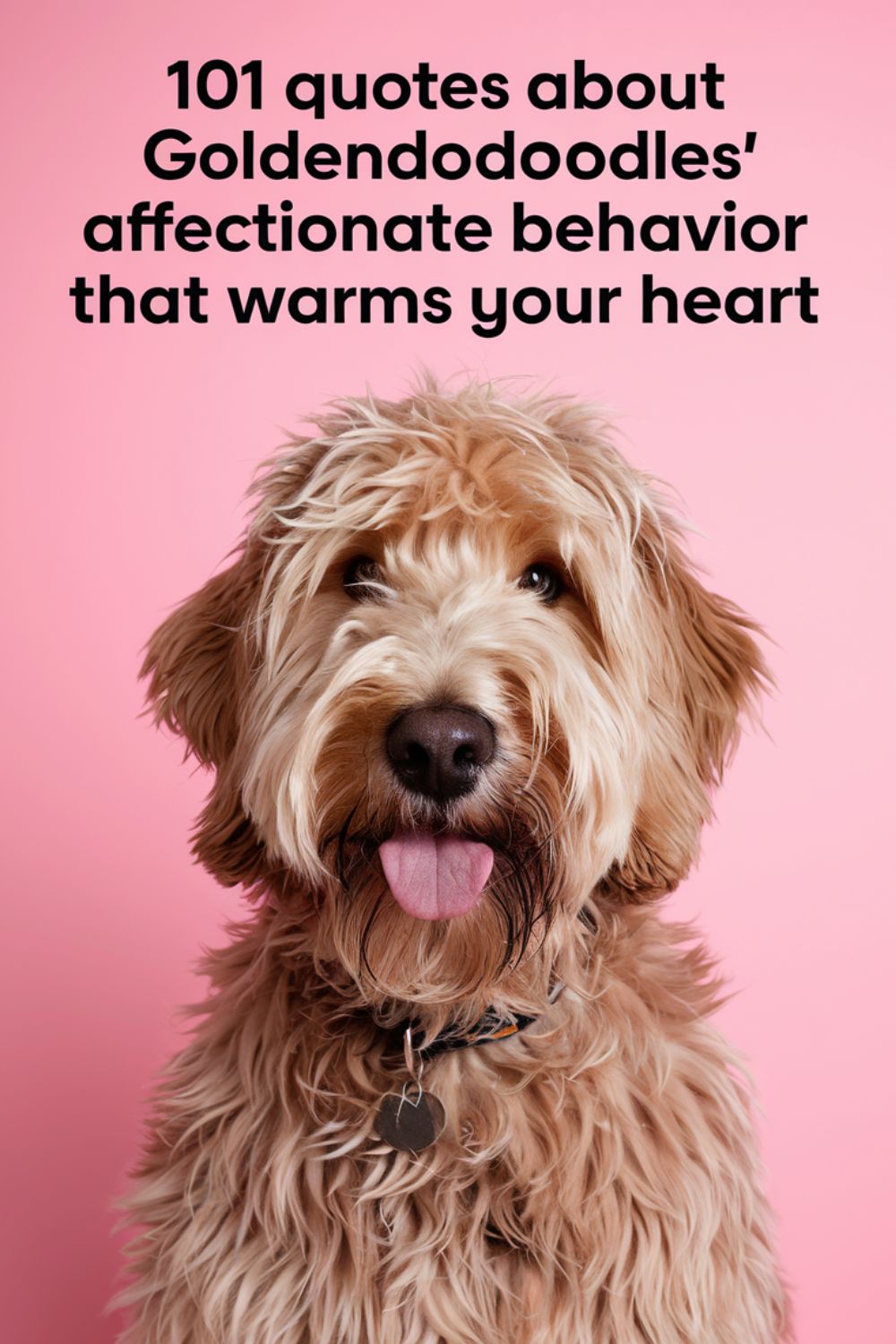 101 Quotes About Goldendoodles' Affectionate Behavior That Warms Your Heart