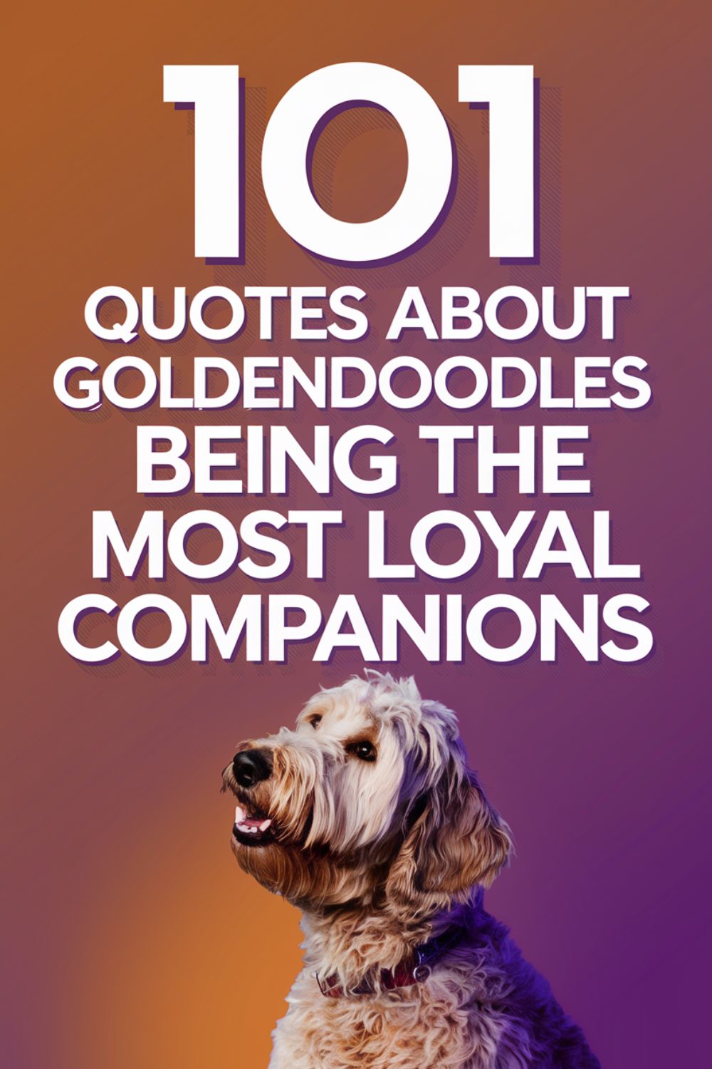 101 Quotes About Goldendoodles Being the Most Loyal Companions