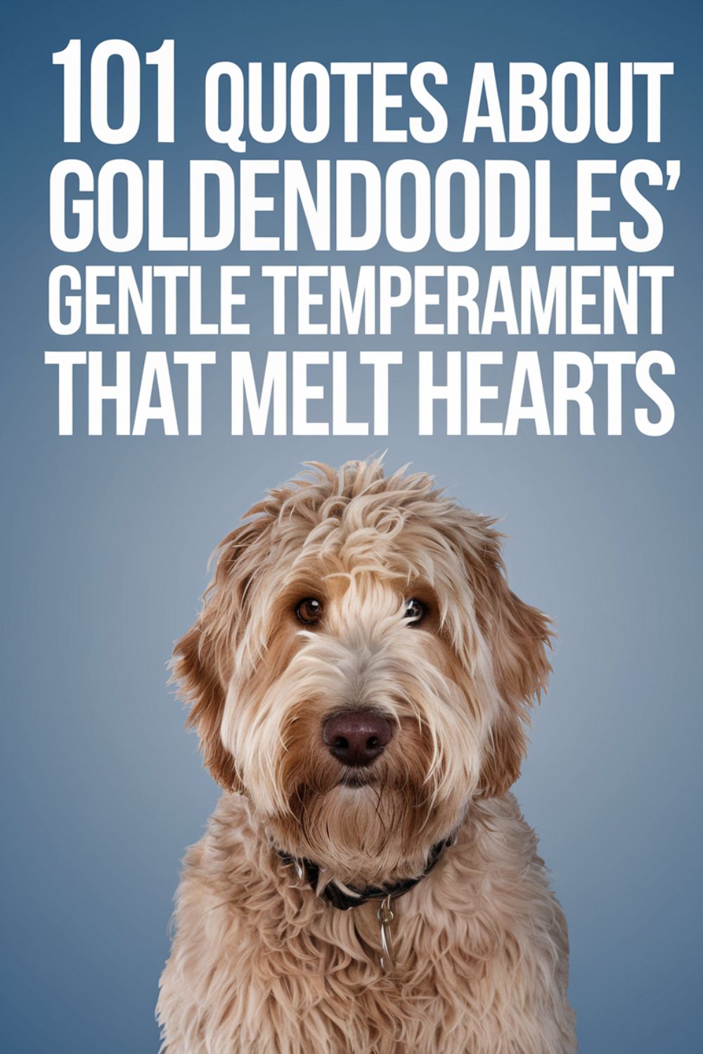 101 Quotes About Goldendoodles' Gentle Temperament That Melt Hearts